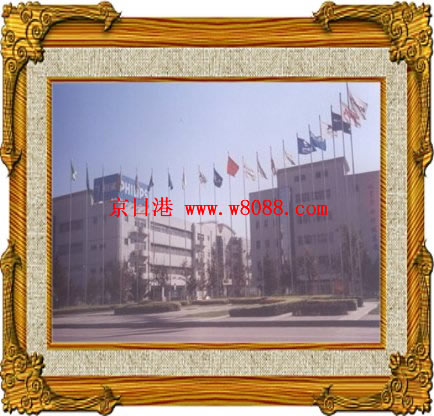 ϵ